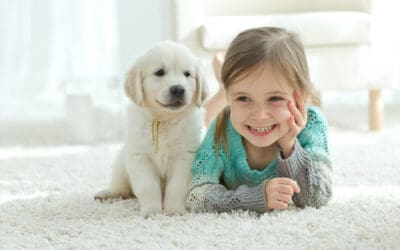 How to clean vomit off carpet